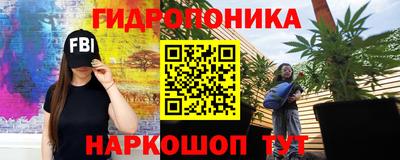 стафф Севастополь