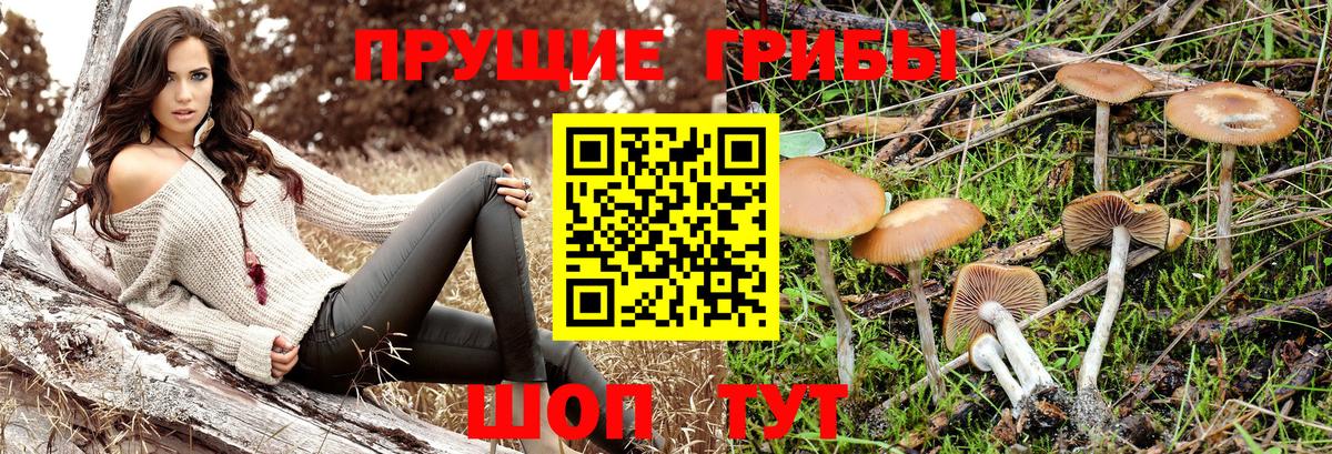 Галлюциногенные грибы Magic Shrooms  Псилоцибиновые грибы мицелий  Полысаево  Вход с VPN 